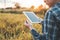 Smart farming Agricultural technology and organic agriculture Woman using the research tablet and studying the development