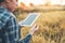 Smart farming Agricultural technology and organic agriculture Woman using the research tablet and studying the development of rice