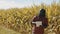 Smart farming concept. African man agronomist holds tablet in the corn field