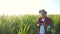 Smart farming concept lifestyle slow motion video. Agronomist man holds tablet touch pad computer in the corn field is