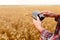 Smart farming using modern technologies in agriculture. Man agronomist farmer with digital tablet computer in wheat