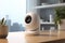 Smart home security cameras with advanced features
