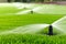 Smart Irrigation: Grass Getting a Refresh.