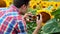 Smart male farmer takes pictures of sunflower seeds on the mobile phone. Agronomist using modern technologies