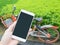 Smart phone and shared bike