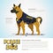 Smart police dog. character design come with typographic - vect