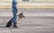 Smart police dog sitting outdoors. Brown German Sheepdog Sitting On Ground