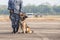 Smart police dog sitting outdoors. Brown German Sheepdog Sitting On Ground