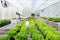 Smart robotic farmers agriculture futuristic robot automation work water the plants