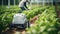 Smart robotic futuristic farmers working on field Agriculture technology, Farm automation