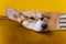 Smart tired Welsh Corgi Pembroke in glasses lying in dog bed with stack of book and paper cup of coffee on yellow studio