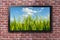 Smart TV With Green Wheat Field And Cloudy Sky Wallpaper - Brick Wall In Background