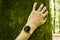 Smart watch measuring heart rate on human hand touching mossy tree