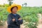 Smart woman farmer crossed her arms with cassava field background.