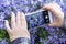 Smartphone on hands closeup. Making nature photo and video with blue violet flowers on camera