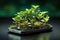 Smartphone lying on the table from which green plants grow