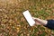 Smartphone screen with hand on a background of yellow autumn leaves in an park. Using a smartphone and the Internet outside the