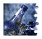 Smashed bottle of beer resting on the ground - Address the alcoholism issue  - Concept image in jigsaw puzzle shape
