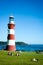 Smeaton\'s Light Tower, Plymouth (portrait mode)