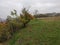 Smederevo Serbia autumn scenery orchard on the hill