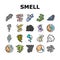 smell smoke gas nose aroma icons set vector