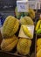 Smelly fresh durian fruit Thai night market street food, Bangkok