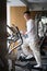 Smile Chinese young man workout on elliptical machine