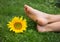 Smile are drawn on bare feet of a child lying on grass. A yellow sunflower flower lies nearby