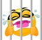 Smile Emoticon Crying in Prison