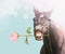 Smile Horse with pink rose on blue bokeh background