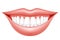 Smile makeover, woman lips and dentition, semiopen mouth with hollywood smile, dental clinic