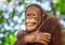 smile of a male orangutan.