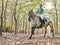 Smile, nature and woman riding a horse in a forest training for a race, competition or event. Adventure, animal and