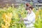 Smile scientists are investigating orchid cultivation plots. Researcher botanical research orchid wearing Scientist shirt and her