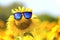 A smile sunflower wearing sunglasses in farm