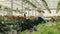 Smiled female worker sitting down and holding a watering can and watering flowers. Garden center, floral store, business