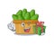 Smiley avocado fruit basket cartoon character having a gift box