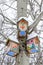 Smiley birdhouses. Birdhouse in the form of a funny face on the tree. Handmade wooden nesting box covered in snow. Winter landscap