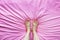 Smiley Face Emotion Barefoot. Beautiful Female Feet on Pink Fabric Bedroom Background