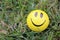 Smiley smile symbol of happiness in the green grass