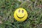 Smiley smile symbol of happiness in the green grass