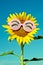 Smiley Sunflower wearing funny glasses under blue sky