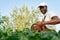 Smiling african gardener in overall pruning green bushes