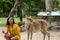 Smiling Asian woman teasing with Eld`s deer