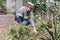 Smiling attractive retired gardener woman working in greenhouse, posing with little rake for planting flowers, looking