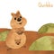 Smiling australian quokka. Cute kawaii hand drawn watercolor art