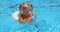 Smiling baby girl with plaits swimming in swimming pool lying on inflatable circle