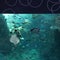 Smiling Batoidea under water, marine fish in the aquarium. Man in diving suit