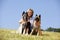 Smiling beautiful woman with Belgian shepherds