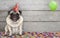 Smiling birthday party pug dog, with confetti and balloon, sitting down celebrating, on old wooden backgrond